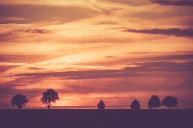 Vintage Fotoğraf günbatımı ağaçlar bir alan üzerinde