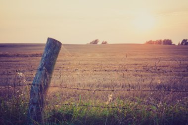 Çayır çit Vintage Fotoğraf
