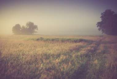 Vintage Fotoğraf yaz aylarında sabah sisli çayır. Kırsal manzara