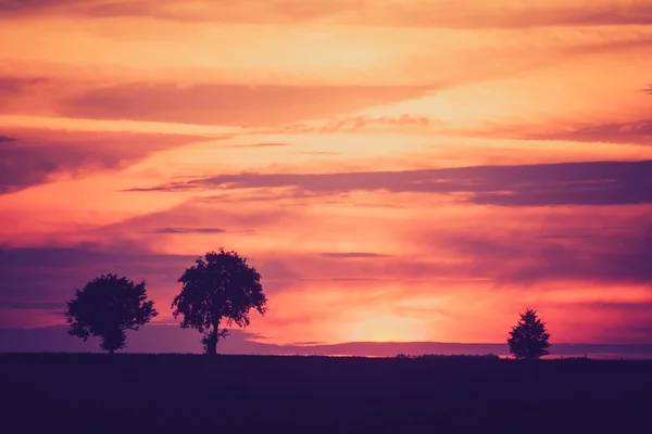 Vintage-Foto von Sonnenuntergang über Bäumen und Feld — Stockfoto