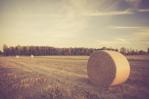 Винтажный пейзаж соломенных тюков на соломенном поле — стоковое фото