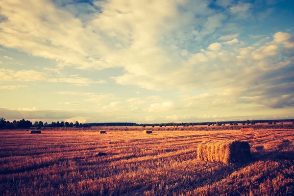 Paisaje vintage de fardos de paja en el campo de rastrojos —  Fotos de Stock