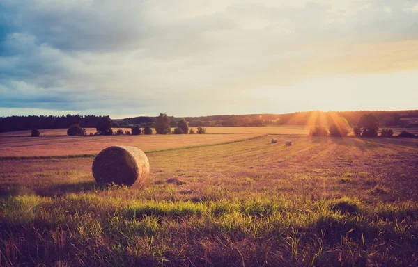 Paisaje vintage de fardos de paja en el campo de rastrojos —  Fotos de Stock