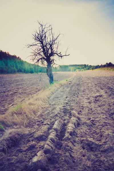 Vintage photo of plowed field landscape — Stock Photo, Image