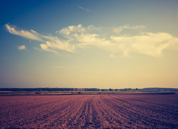 Vintage photo of plowed field landscape — Stock Photo, Image