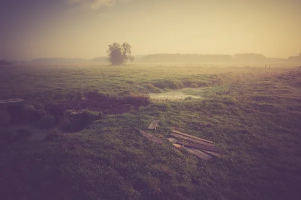Archiwalne zdjęcie rano mglisty łąka w lecie. Wiejski krajobraz — Zdjęcie stockowe