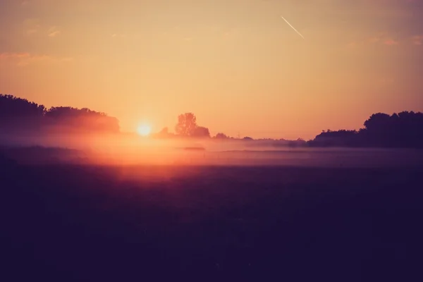 在夏天早晨有雾草甸的旧照片。乡村景观 — 图库照片