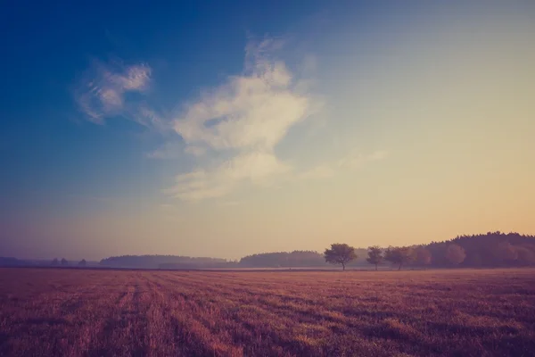 Vintage photo of morning foggy meadow in summer. Rural landscape — Stock Photo, Image