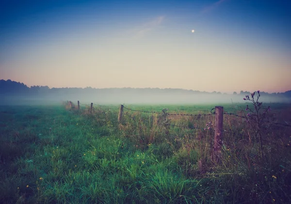 Vintage foto van ochtend mistige weide in de zomer. Rurale landschap — Stockfoto