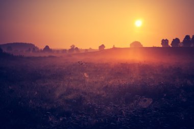 Vintage Fotoğraf yaz aylarında sabah sisli çayır. Kırsal manzara