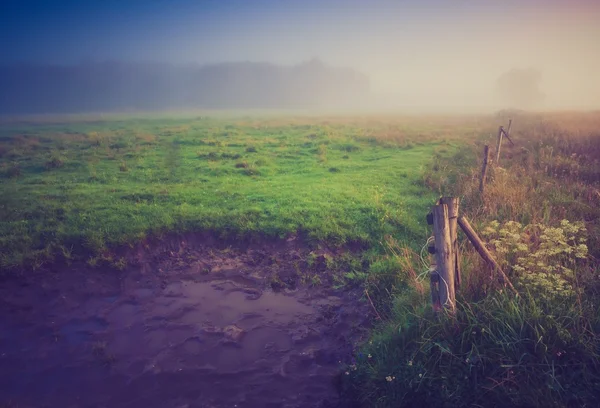 Foto vintage del prado nebuloso de la mañana en verano. Paisaje rural — Foto de Stock