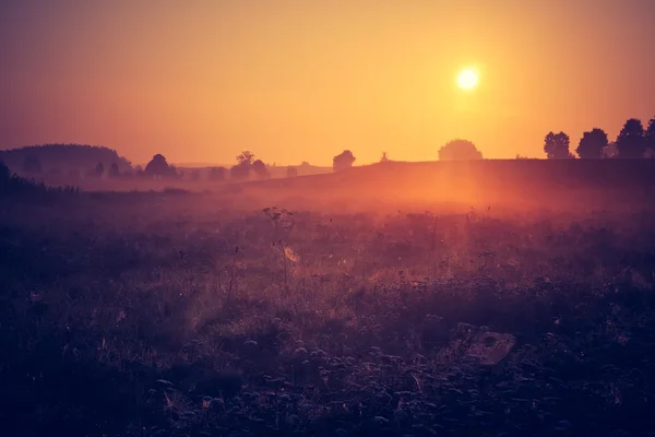 Ročník fotografické ranní zamlžené louky v létě. Venkovské krajiny — Stock fotografie