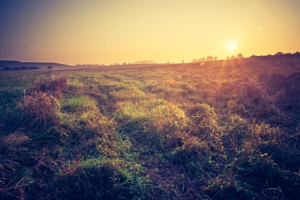 夏の朝霧の草原のビンテージ写真。農村景観 — ストック写真