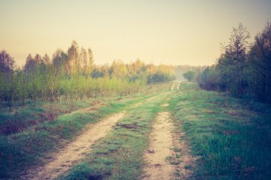 Vintage Fotoğraf yolu ile peyzaj