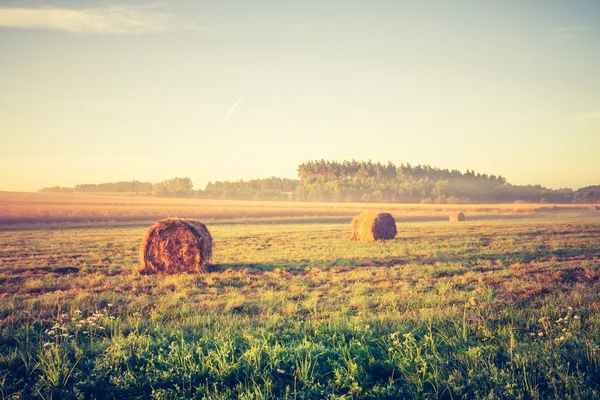 Vintage foto di prato con balle di fieno all'alba — Foto Stock