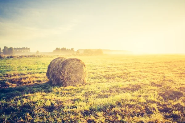 Photo vintage de prairie avec balles de foin au lever du soleil — Photo