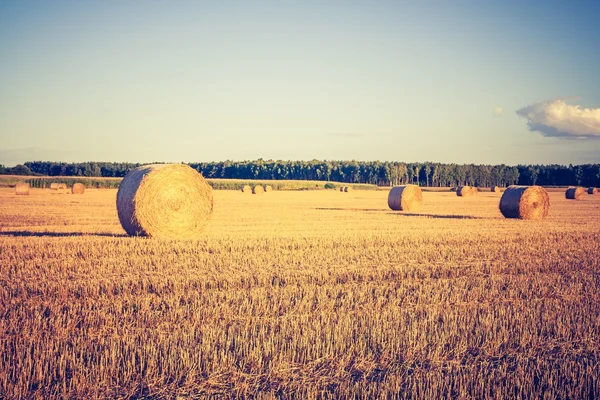 Vintage fotó a tarló szalmabálákat — Stock Fotó