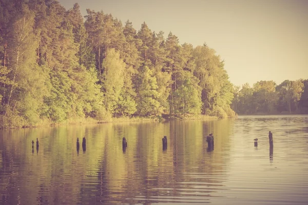 Вінтажне фото озерного пейзажу з лісом . — стокове фото