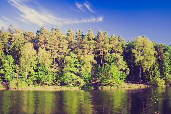 Vintage foto av sjön landskap med skog. — Stockfoto
