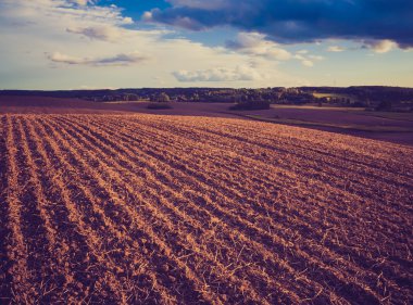 Vintage photo of plowed field clipart