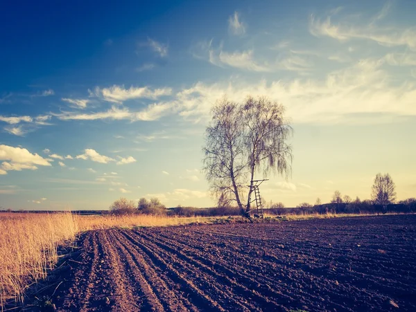 Jahrgangsfoto vom gepflügten Feld — Stockfoto