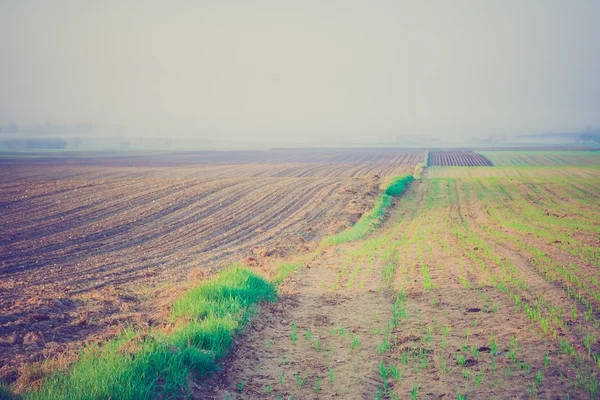 Vintage photo of plowed field — Stock Photo, Image