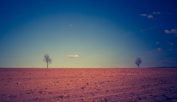 Vintage foto van geploegd veld — Stockfoto