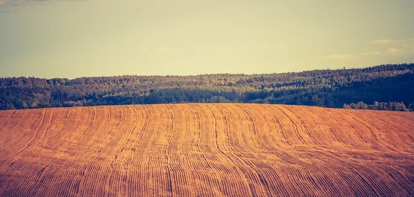 Jahrgangsfoto vom gepflügten Feld — Stockfoto