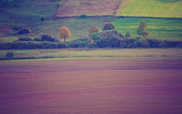 Vintage photo of plowed field — Stock Photo, Image