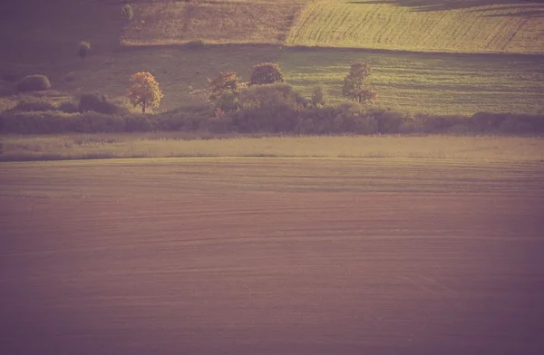 Vintage foto van geploegd veld — Stockfoto