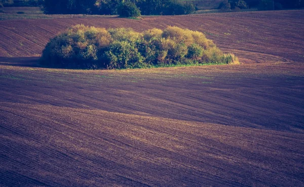 耕した畑のビンテージ写真 — ストック写真