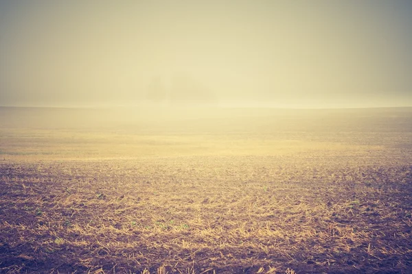 Винтажное фото вспаханного поля — стоковое фото