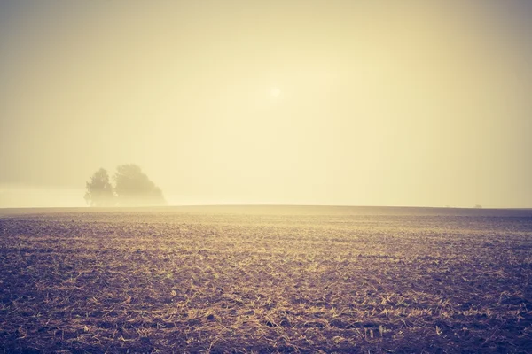 Foto vintage de campo arado — Fotografia de Stock