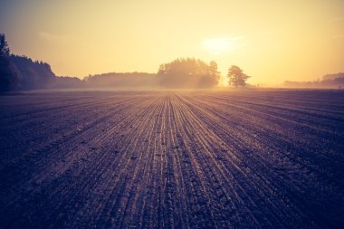 Vintage photo of plowed field clipart