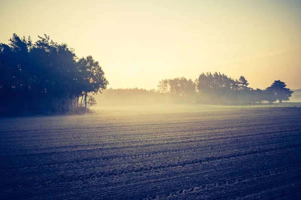 Foto vintage de campo arado — Fotografia de Stock