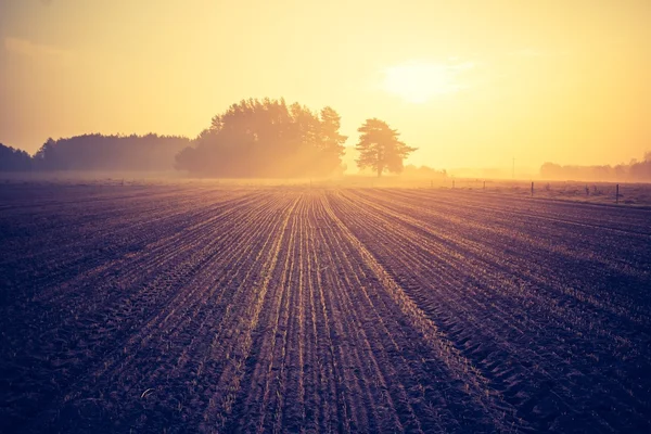 Foto vintage de campo arado — Fotografia de Stock