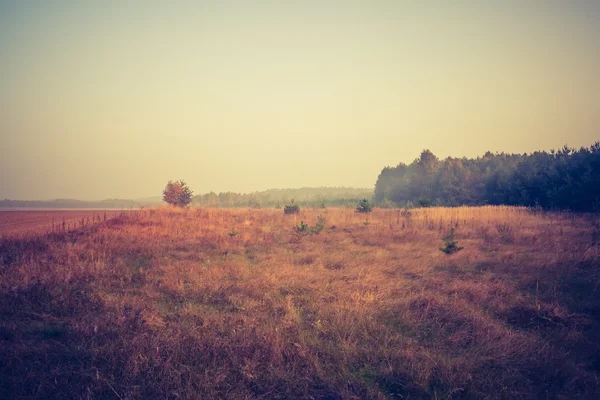 Jahrgangsfoto vom gepflügten Feld — Stockfoto