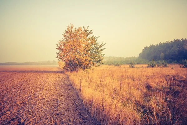 Jahrgangsfoto vom gepflügten Feld — Stockfoto