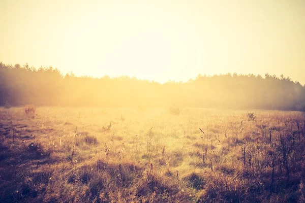 Vintage photo of plowed field — Stock Photo, Image