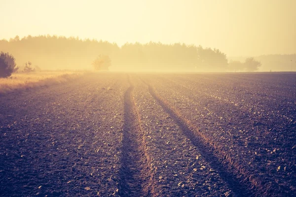 Vintage foto van geploegd veld — Stockfoto