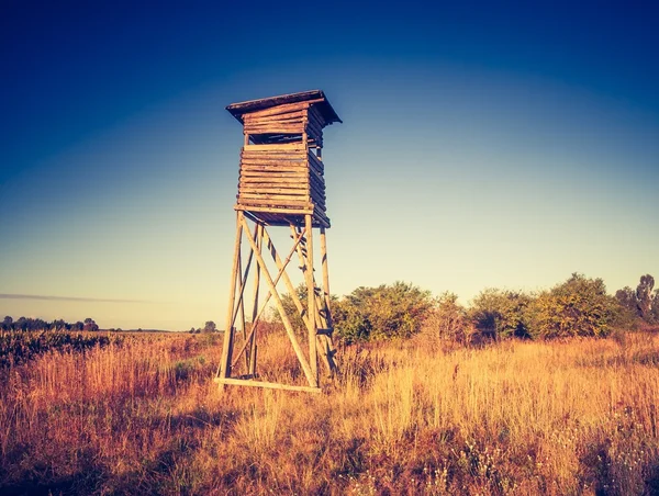 Verstecken auf dem Feld — Stockfoto