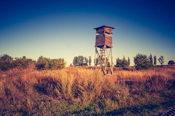 Verstecken auf dem Feld — Stockfoto