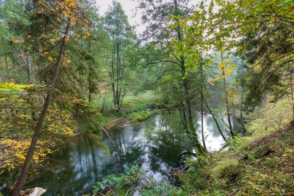 Wilder Fluss im herbstlichen bunten Wald — Stockfoto