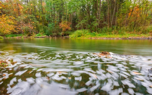 Wild river in autumnal colorful forest — Stock Photo, Image