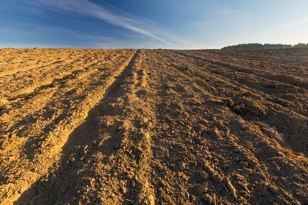 Plowed field landscape — Stock Photo, Image