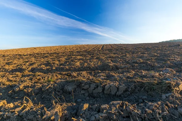 Plowed field landscape — Stock Photo, Image