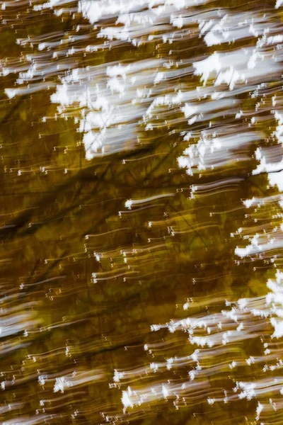 Лесная абстракция. Длительное фото осеннего леса — стоковое фото