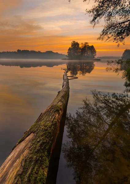 美しい湖の日の出風景 — ストック写真