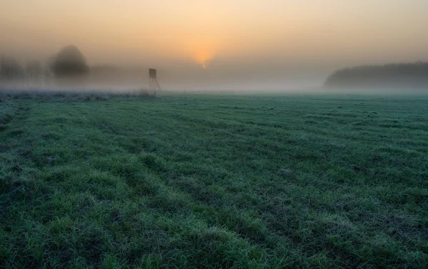 Beautiful morning with frost on plants. Autumnal landscape. — Stock Photo, Image