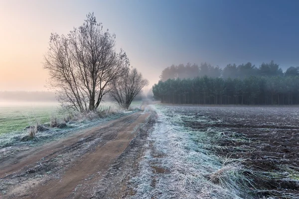 Krásné ráno s mrazem na rostliny. Podzimní krajina. — Stock fotografie